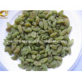 Golden/ Green High Grade Raisins Xinjiang